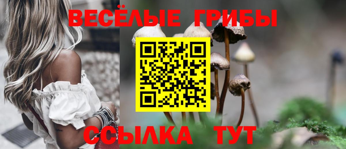 Псилоцибиновые грибы ЛСД Красноярск